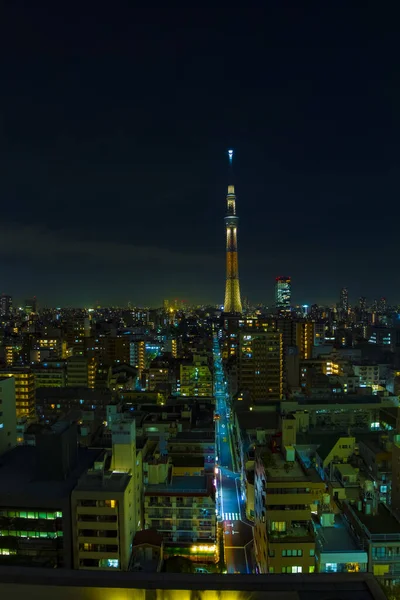 En natt Tokyo himmel träd vid den urbana staden i Tokyo bred skott — Stockfoto