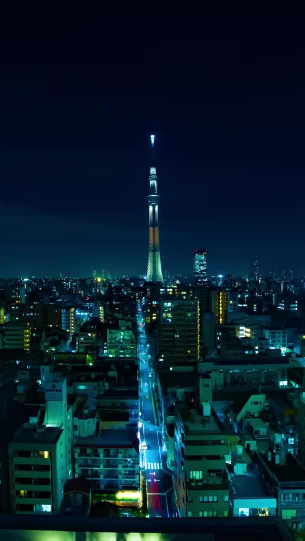 Ein nächtlicher Zeitraffer des Tokyohimmelbaums in der städtischen Stadt in Tokyovertikaler Aufnahme — Stockvideo