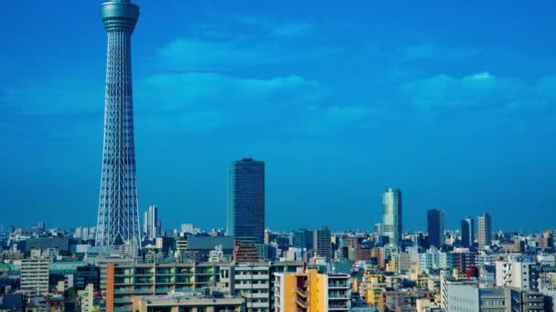 Timelapse bliski Tokio niebo drzewo na miejskim mieście w Tokio d ³ ugi strzał zoom — Wideo stockowe