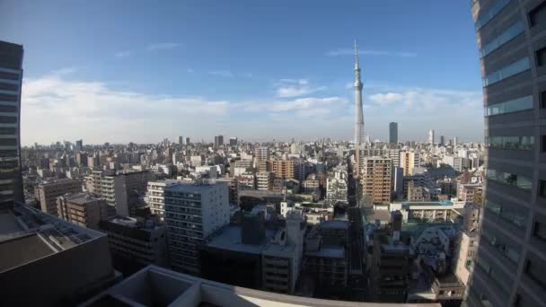 Časová prodleva u tokijského stromu v městském městě v Tokiu — Stock video