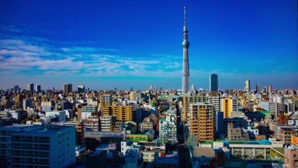 Uma timelapse perto de árvore do céu de Tóquio na cidade urbana em Tóquio tiro largo — Vídeo de Stock