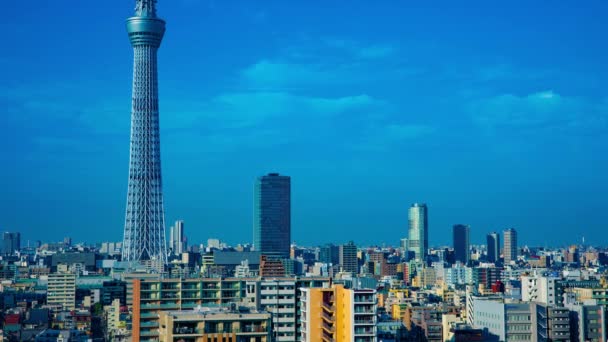 Et time-lapse nær Tokyo himmel træ på den urbane by i Tokyo long shot – Stock-video