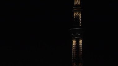 Tokyo 'daki şehir şehrinde bir Tokyo gökyüzü ağacı.