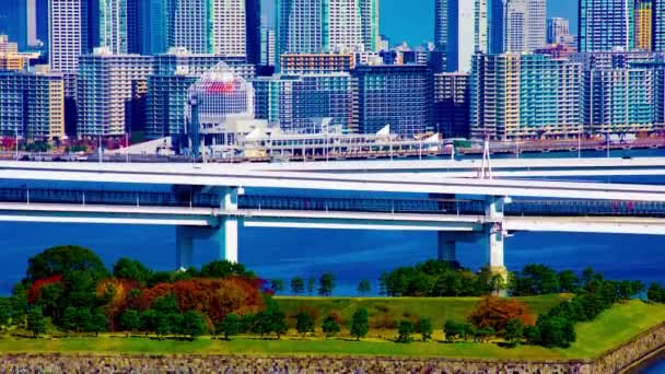 Timelapse szosy na miejskim mieście w Tokio długim ujęciu tilt — Wideo stockowe