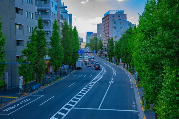 東京・青梅通りの街中ワイドショット — ストック写真