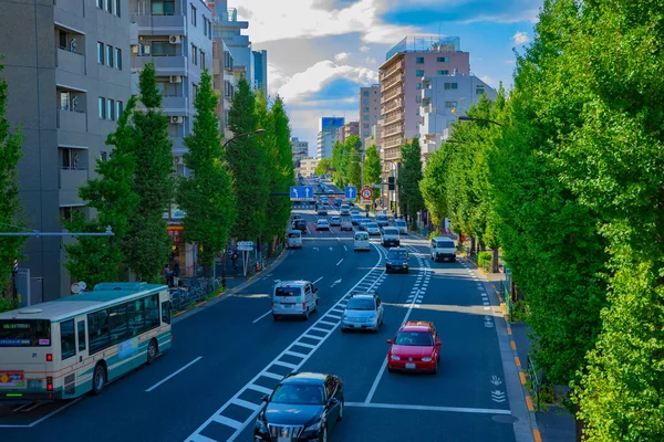 도쿄 의 oume Avenue 에 있는 도시 거리 낮에 광범위 한 샷 — 스톡 사진