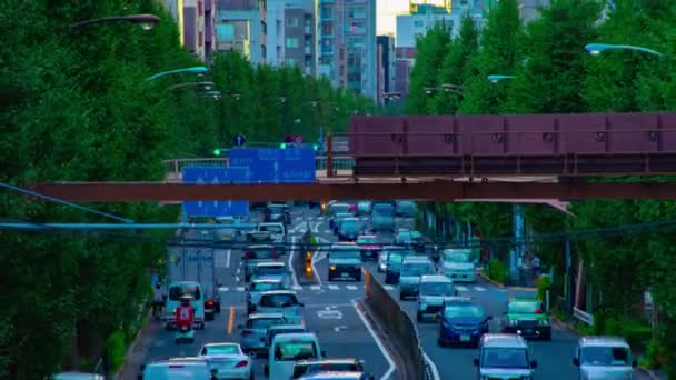 Хронология городской улицы на Ум-авеню в Токио, дневной зум — стоковое видео