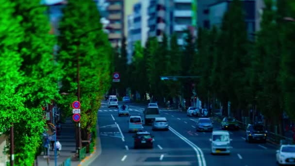 Tokyo 'da Oume Bulvarı' ndaki minyatür şehir sokağının gündüz vardiyası. — Stok video