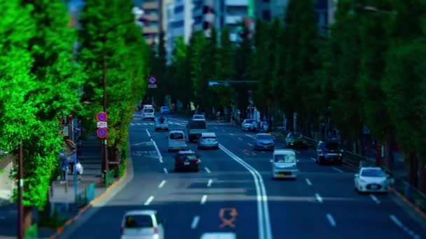 Timelapse miniaturowej ulicy miasta na Oume avenue w Tokio dziennym tiltshift zoom — Wideo stockowe