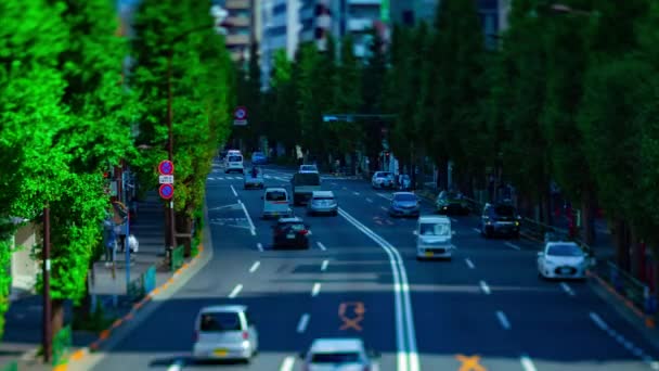 Um timelapse de rua de cidade em miniatura na avenida Oume em Tóquio tiltshift diurno — Vídeo de Stock