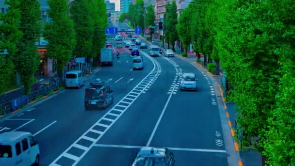 Un timelapse di strada cittadina a Oume avenue a Tokyo panning a tutto campo diurno — Video Stock