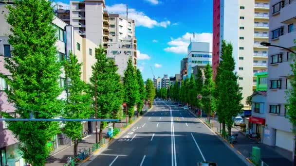 Une chronométrage de la rue de la ville à l'avenue Oume à Tokyo panoramique diurne — Video