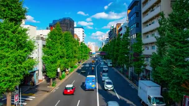 Un timelapse de la calle de la ciudad en la avenida Oume en Tokio zoom de tiro diurno — Vídeo de stock