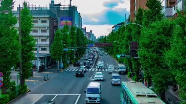 Хронология городской улицы на Ум-авеню в Токио, дневной широкоформатный зум — стоковое видео