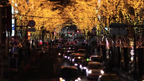 Shibuya Tokyo 'nun şehir merkezinde bir gece minyatür aydınlatma caddesi. — Stok video