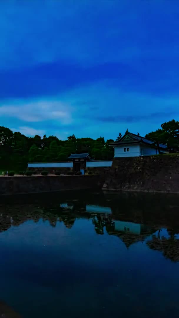 东京皇宫黄昏时分的垂直拍 — 图库视频影像