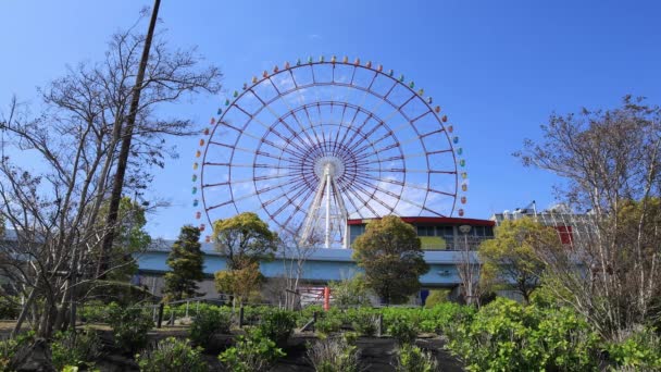 A ferris wheel at the amusement park in Odaiba Tokyo daytime wide shot — Stock Video