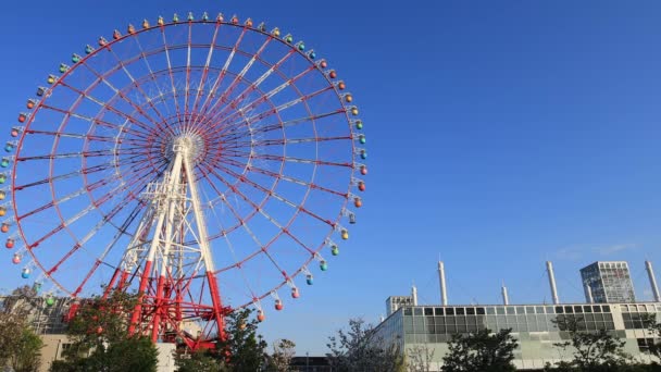 Una rueda de hurón en el parque de atracciones en Odaiba Tokio plano diurno — Vídeo de stock