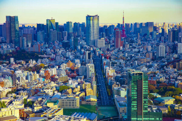 A panoramic cityscape at the urban city high angle. Shibuya district Tokyo / Japan - 12.03.2019