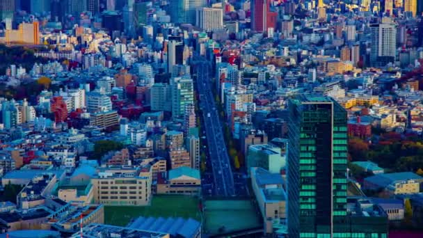 Timelapse panoramicznego miejskiego krajobrazu na miejskim mieście w Tokio wysoki kąt panning — Wideo stockowe