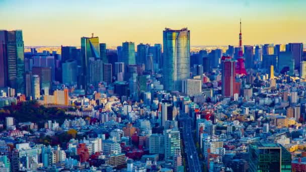 東京都内の都市のパノラマの街並みのタイムラプス高角度のパンニング — ストック動画