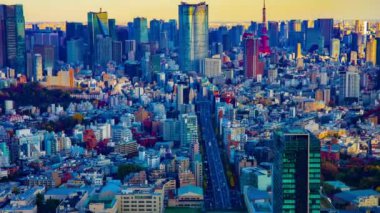 Tokyo kentindeki panoramik şehir manzarasının zaman aşımı. Yüksek açılı zoom.