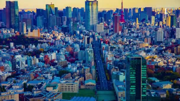 Un timelapse de paisaje urbano panorámico en la ciudad urbana de Tokio inclinación de ángulo alto — Vídeo de stock