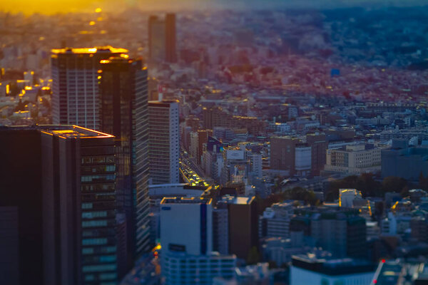 A sunset miniature urban cityscape high angle tiltshift. Shibuya district Tokyo / Japan - 12.03.2019