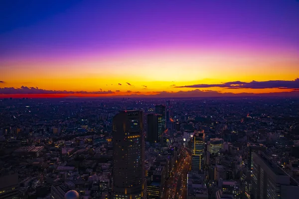 Un paisaje urbano panorámico al atardecer en Tokio plano de gran angular — Foto de Stock