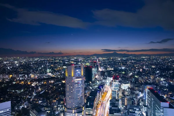 Uma paisagem urbana panorâmica do crepúsculo em Tóquio tiro grande ângulo alto — Fotografia de Stock