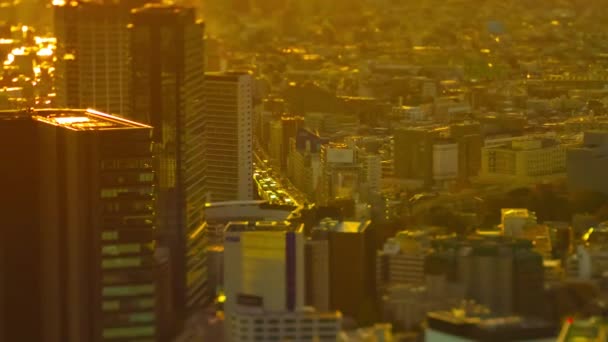 En solnedgång timelapse av miniatyr urban stadsbild i Tokyo hög vinkel tiltshift zoom — Stockvideo