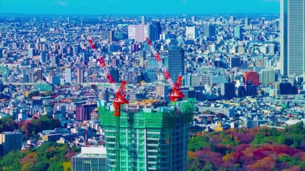 Un timelapse de grúas en movimiento en la parte superior del edificio en Tokio gran inclinación ángulo largo — Vídeo de stock