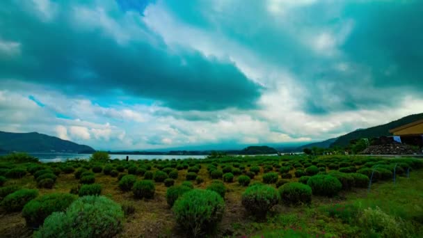 河口湖付近の曇りの空のタイムラプス昼幅ショット傾き — ストック動画