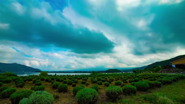 Un timelapse de cielo nublado cerca del lago Kawaguchi disparo diurno — Vídeo de stock