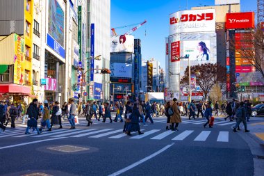 Shinjuku Tokyo 'da bir şehir geçidi.