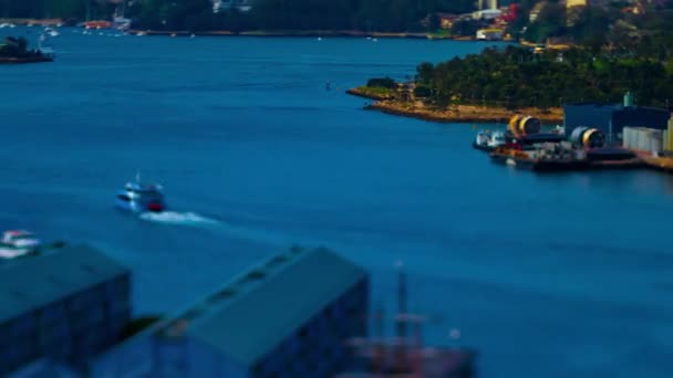 Временной график миниатюрного залива в гавани Дарлинг в Сиднее — стоковое видео