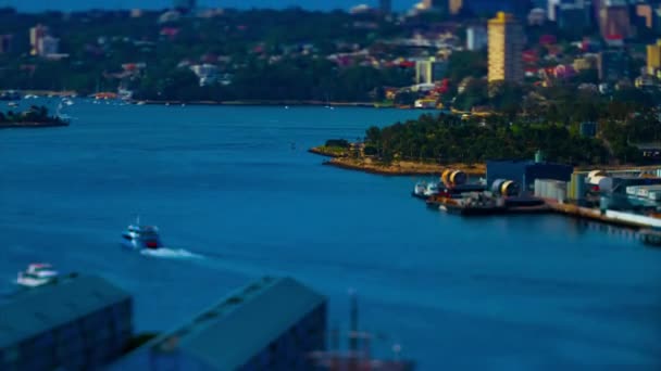 Временной отрезок миниатюрного залива в гавани Дарлинг в Сиднее, наклон наклона с высоким углом наклона — стоковое видео