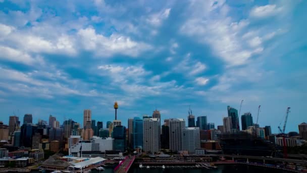 Včas panoramatický záliv v Darling Harbour v Sydney vysoký úhel široký záběr pancíř — Stock video