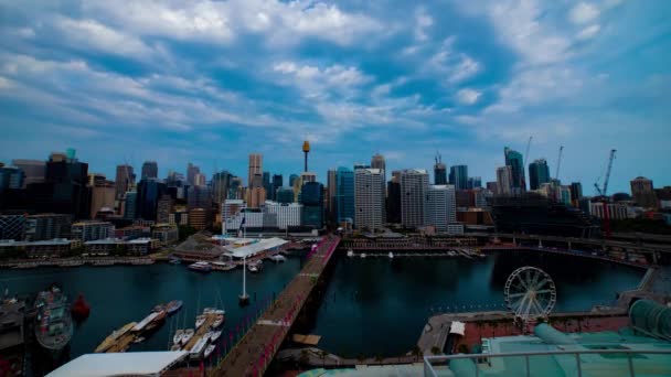 En timelapse av panoramabayarea vid Darling hamn i Sydney hög vinkel bred skott — Stockvideo