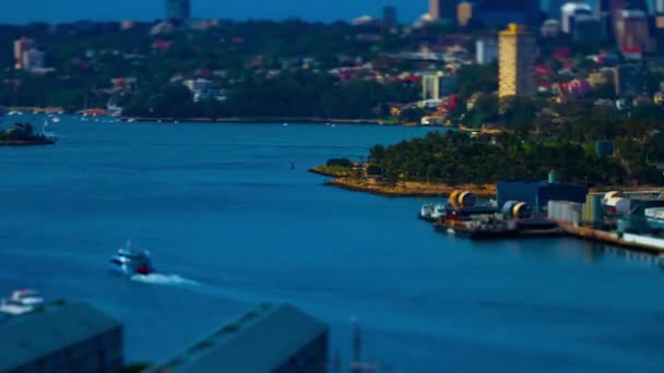 Timelapse of miniature bay area at Darling harbour in Sydney high angle tiltshift zoom — стокове відео