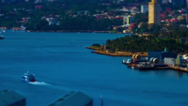 A timelapse of miniature bay area at Darling harbour in Sydney high angle tiltshift zoom — Stock Video