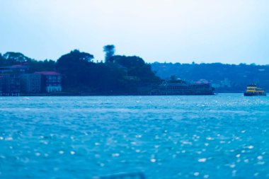 Sydney 'deki körfezde minyatür bir gemi.