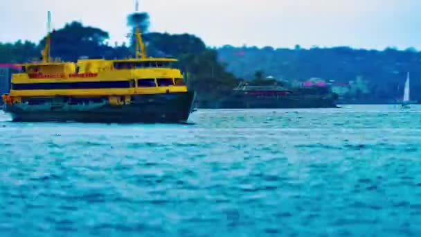 Tmelapse miniaturních lodí v zátoce v Sydney sklopné pánve — Stock video