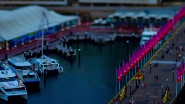 Спустошливий темпелапс мініатюрної бухти в гавані Дарлінг у Сіднеї під кутом нахилу нахилу нахилу. — стокове відео