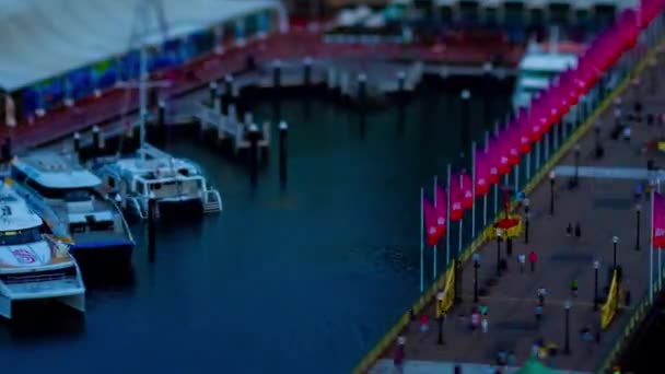シドニーのダーリング港のミニチュアベイエリアの夕暮れ時のタイムラプス高角度の傾きズーム — ストック動画