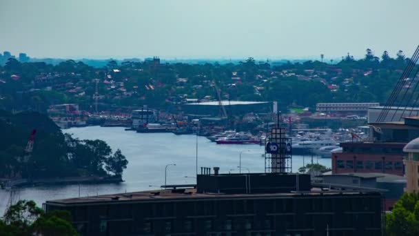 Een stortvloed van schepen bij de baai overdag hoge hoek lange schot zoom — Stockvideo