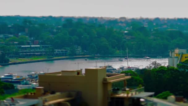 ベイエリア昼間高角度傾斜角ズームでの小型船の波浪 — ストック動画