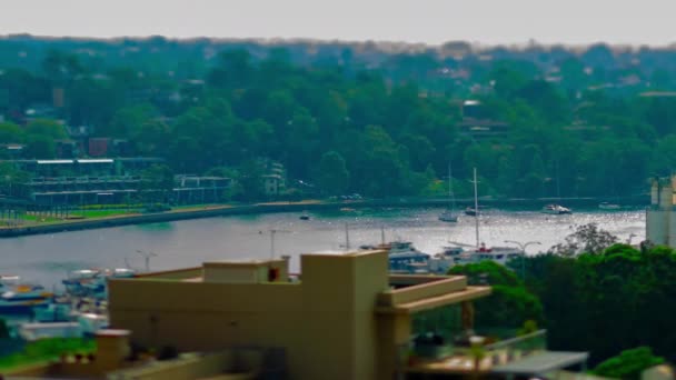Een tmelapse van miniatuurschepen bij de baai overdag hoge hoek tiltshift zoom — Stockvideo