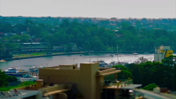 Een tmelapse van miniatuurschepen in de baai overdag hoge hoek tiltshift — Stockvideo