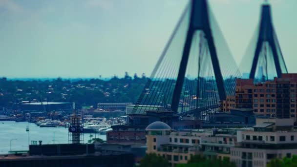 A timelapse of miniature traffic jam at Anzac bridge in Sydney high angle tiltshift zoom — Stock Video